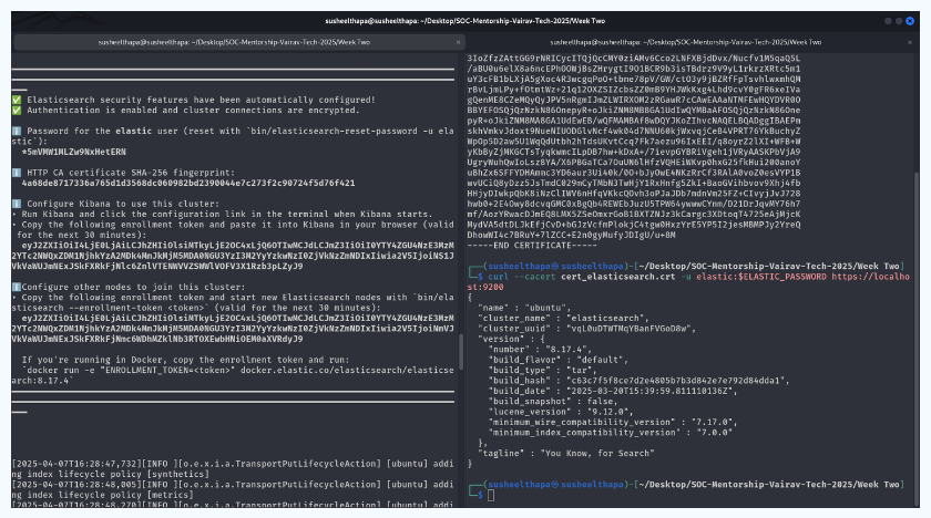 Testing from Host Machine