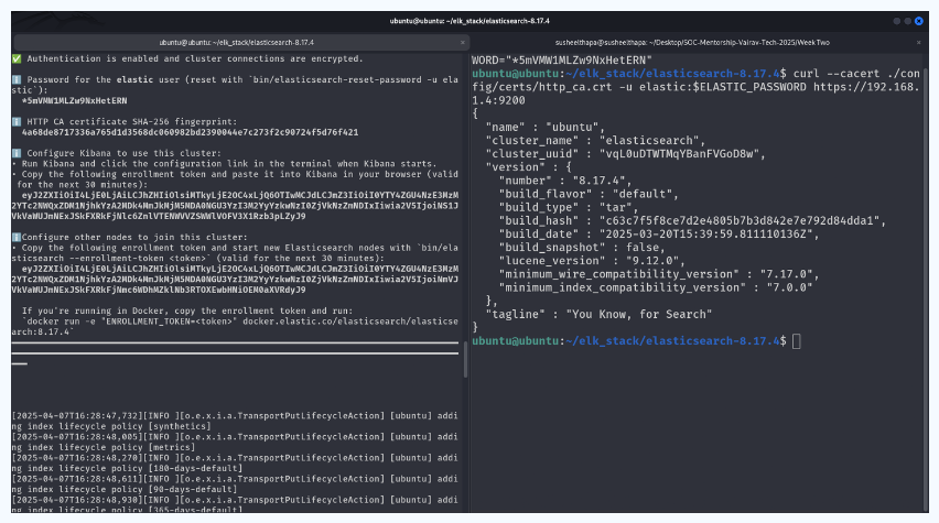 Testing Elasticsearch Locally